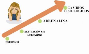 estrés