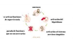 cómo_gestionar_el_estrés