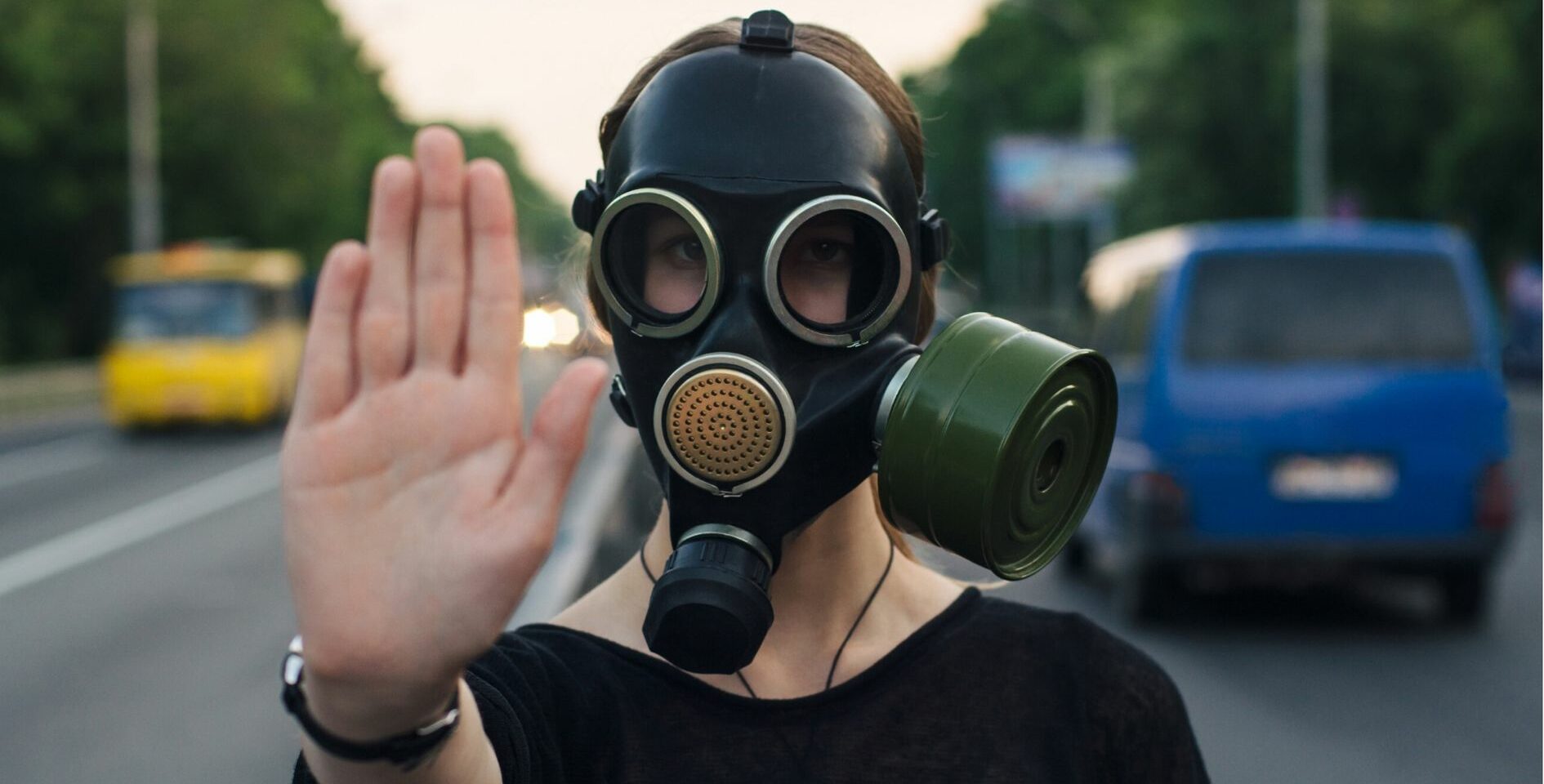 disyuntores_endocrinos