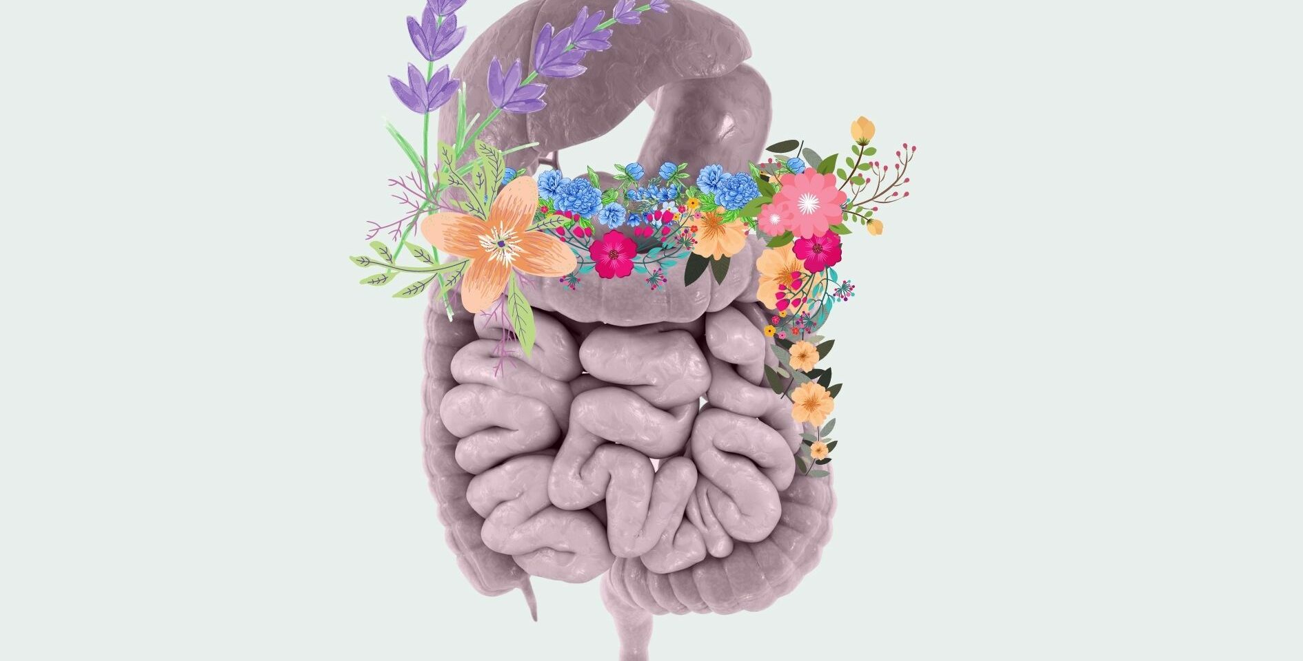 patologias_digestivas