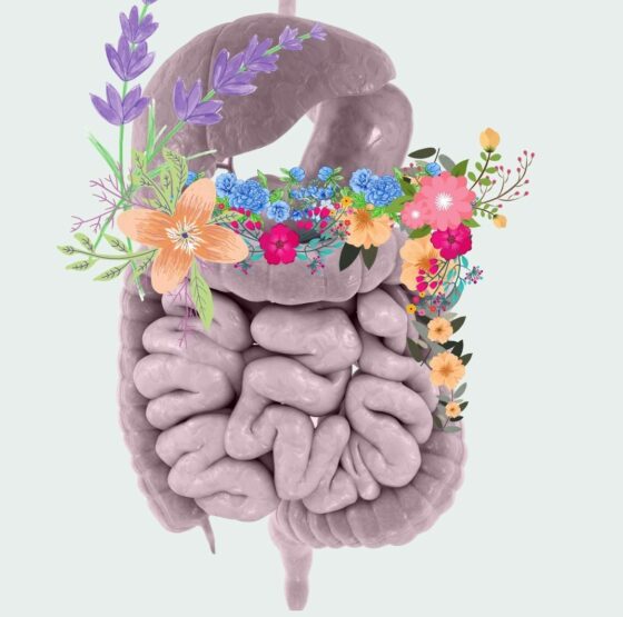 patologias_digestivas