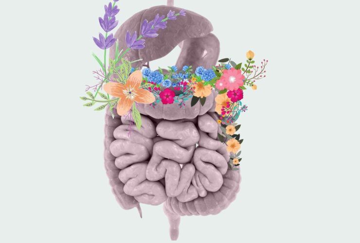 patologias_digestivas